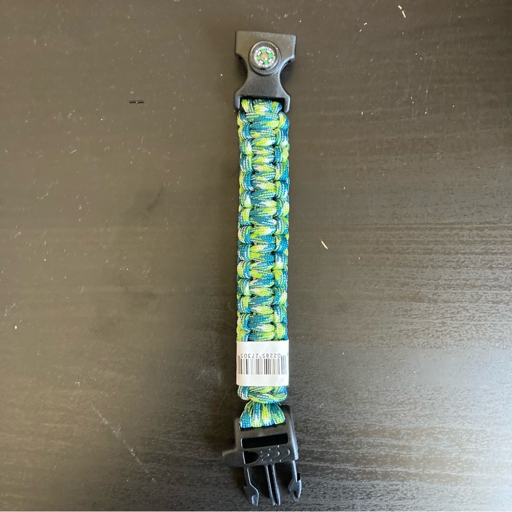 Compass watch